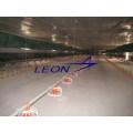 leon Complete automatic pan feeding for poultry equipments